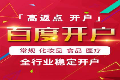 SEM服务公司成功案例解读